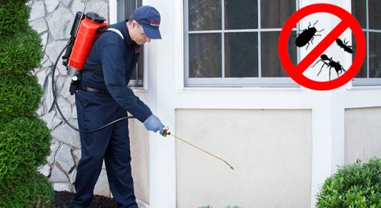 Sungurlu Tahtakurusu İlaçlama böcek ilaçlama ve haşere kontrolü — ilaclama-tr.com